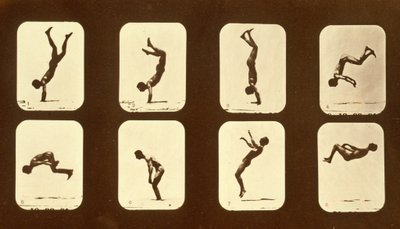 Athletes. Irregular from 